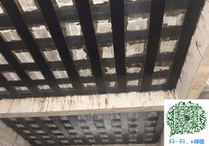 扎赉特厂房碳纤维加固